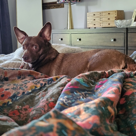 Meet your Posher, Evelyn - Picture 5 of 5